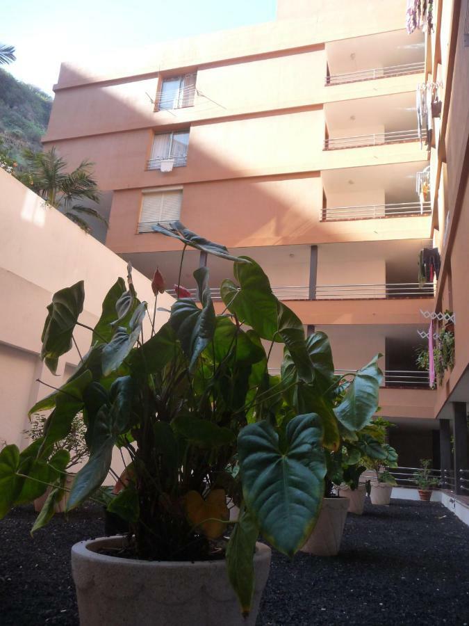 Ferienwohnung Martianez Puerto de la Cruz  Exterior foto