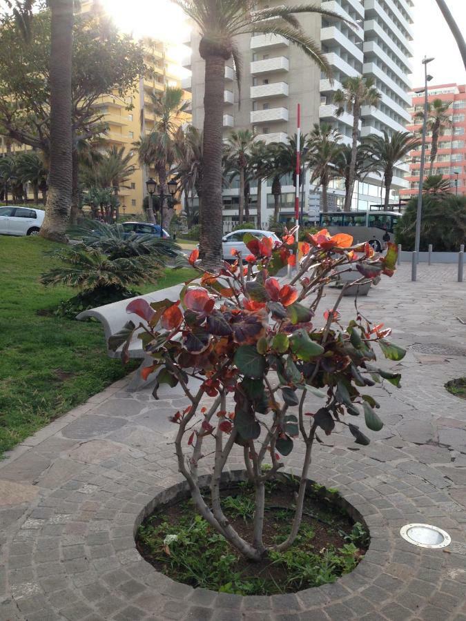 Ferienwohnung Martianez Puerto de la Cruz  Exterior foto